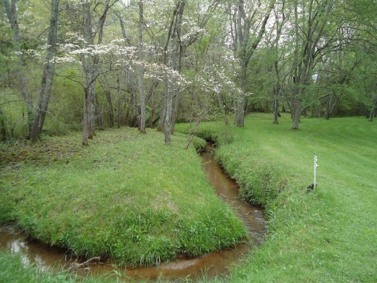 Lots of weedeating along our streams.